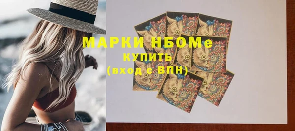 трава Корсаков