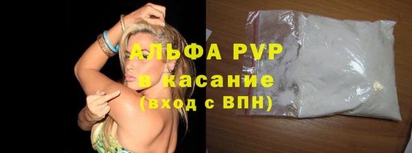 трава Корсаков