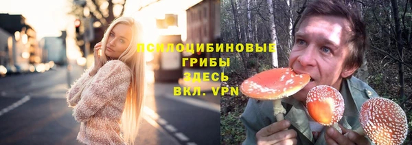 трава Корсаков