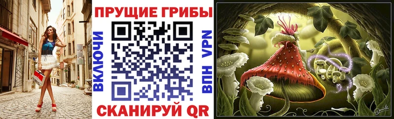 что такое наркотик  Спасск-Рязанский  это состав  Псилоцибиновые грибы Psilocybe 